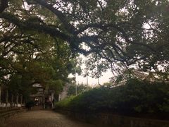 -蒋氏故居