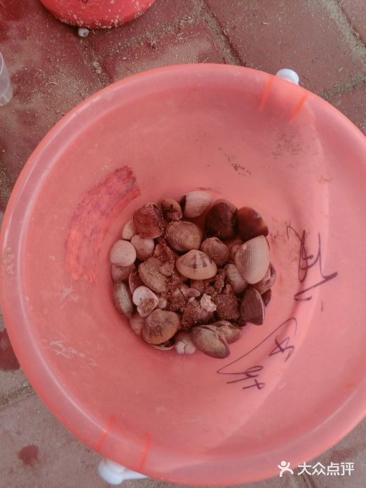 北海金海湾红树林生态旅游区图片