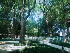 -红舞鞋舞蹈教育(近江校区)