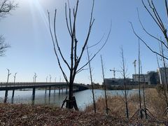 -上海滴水湖皇冠假日酒店