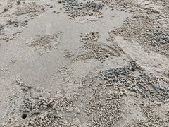 -北海银滩一号国际会议中心酒店