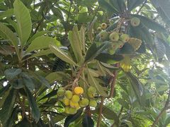 -陕西华浮宫酒店(未央湖公园店)