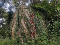 -青芝山风景名胜区