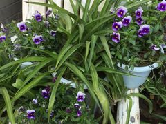 -陈熹公民族美食文化餐厅(中华广场店)