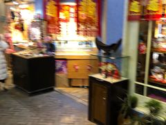 -骑鹅公社(南开大悦城店)