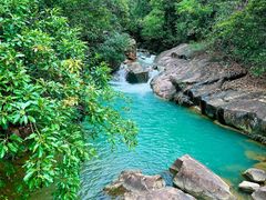 -广州白江湖森林公园