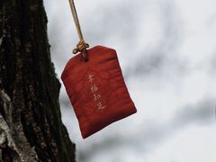 -北山公园
