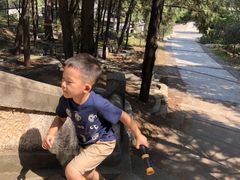 -北京鹫峰国家森林公园