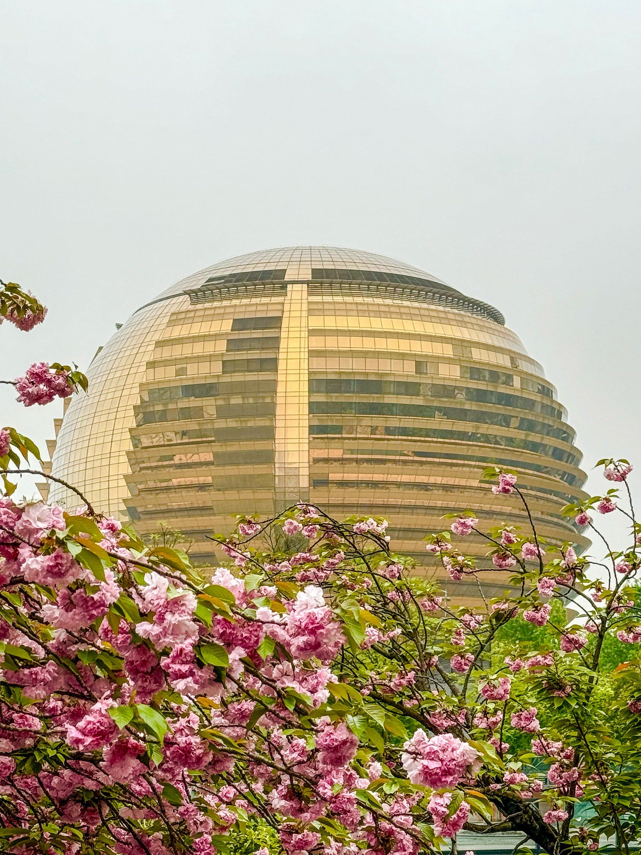 来杭州旅游必打卡地标建筑 ‖ 大金球!