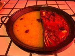 -朱光玉火锅馆(正弘城店)