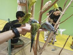 -上海大自然野生昆虫馆(东方明珠·爬宠昆虫探索中心)