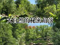 -小绿谷公园