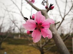 -南海子公园
