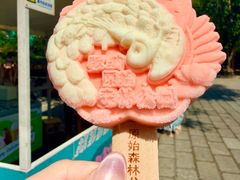 -西双版纳原始森林公园