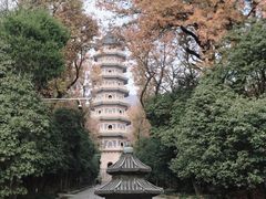 -灵谷景区