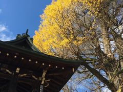 -医王山·飞騨国分寺