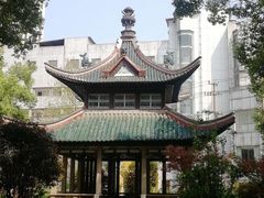 -长沙市青少年宫