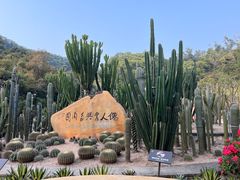 -深圳仙湖植物园