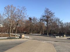 -廊坊文化艺术中心