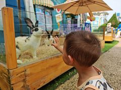 -大连海昌发现王国主题公园