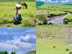 -塞罕坝国家级自然保护区