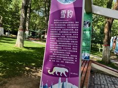 -青藏高原野生动物园