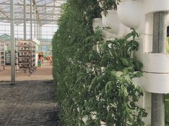 -艾溪湖湿地公园