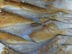 -欢乐海岸美食联盟