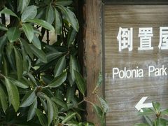 -金山农民画村-枫泾波兰倒置屋