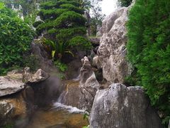 -东莞植物园