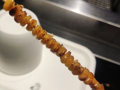-橦橦小马扎烧烤 (传媒大学店)