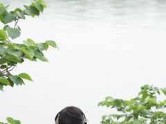 -瑶湖郊野森林公园