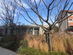 -上海交通大学医学院附属瑞金医院(总院)