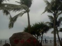 -万绿园