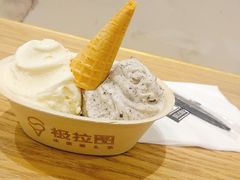 -极拉图·现制冰淇淋(大卫城店)