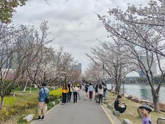 -苏州独墅湖世尊酒店