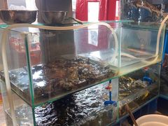 -白洋淀灶台鱼(名佳花园店)