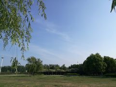 -祥源·阜阳生态乐园