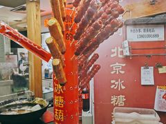 -和禄德冰糖葫芦