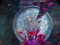 -沈阳海洋探索中心