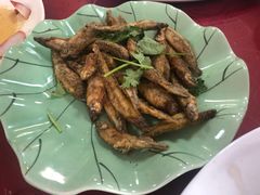 -聂记粤菜馆(鼓西路店)
