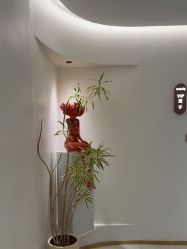 -WENDY·温迪皮肤管理