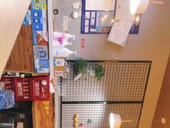 -犀牛家猪排