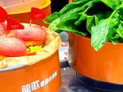 -龍歌自助小火锅(市南金茂湾店)