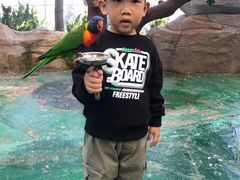 -西霞口神雕山野生动物世界