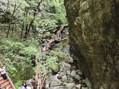 -牛背梁国家森林公园