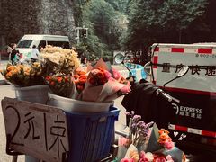 -喧闹·东方大气茶(鹅岭二厂店)