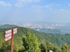 -阳台山森林公园