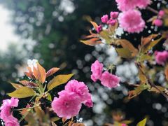 -丰都鬼城名山景区