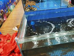 -红月湾海鲜饭店•沙滩海景(双月湾店)